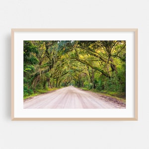 Impresión de la isla Edisto, arte mural de Carolina del Sur, arte enmarcado de bosque, decoración natural para el hogar, póster escénico, bellas artes paisajísticas, otoño, rústico