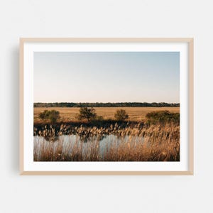 Impresión de Chincoteague, arte mural de Virginia, arte enmarcado de paisajes, decoración natural para el hogar, póster rural, bellas artes escénicas, otoño, botánico, granja