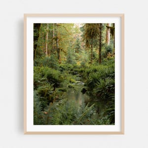 Port Angeles Druck, Washington Wandkunst, Wald gerahmte Kunst, Natur Wohnkultur, Wald Poster, Wildnis Fine Art, Landschaftlich, Botanisch