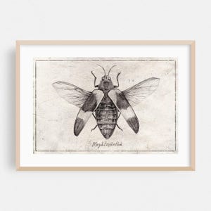 Impresión de insectos, arte mural natural, arte vintage enmarcado, decoración botánica para el hogar, póster de bocetos, ilustración de bellas artes, blanco y negro, dibujo