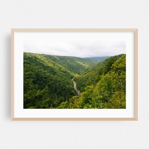Könnte beinhalten: Ein gerahmtes Landschaftsfoto, das ein tiefes Tal mit dichtem grünen Wald und einem schmalen Fluss in der Mitte unter einem bewölkten Himmel zeigt. Der Rahmen ist aus hellem Holz und hat einen weißen Passepartout-Rand um das Bild.