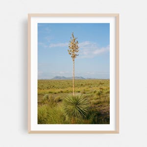 Marfa Print, Texas Wandkunst, Wüste, gerahmte Kunst, Natur Wohnkultur, Landschaft Poster, Kaktus Fine Art, Landschaftlich, Minimalistisch, Botanisch