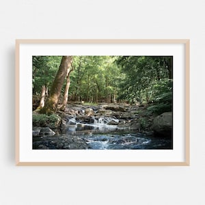 Könnte beinhalten: Ein gerahmtes Landschaftsfoto, das einen kleinen, klaren Bach zeigt, der über dunkle, zerklüftete Felsen fließt. Das Wasser bildet sanfte weiße Wellen, während es durch einen dichten, sonnendurchfluteten Wald mit grünen Bäumen fließt.