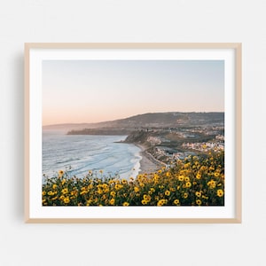 Dana Point Print, California Wall Art, Coast Framed Art, Ocean Home Decor, Beach Poster, Landscape Fine Art, Flowers, Scenic, Sunset