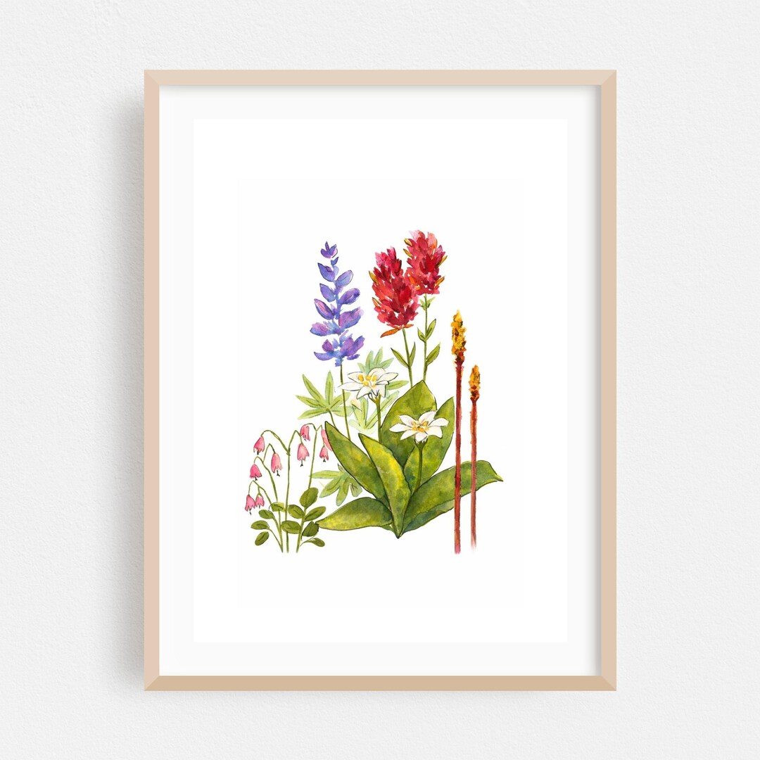 Watercolor Print, Floral Wall Art, Botanical Framed Art, Flowers Home ...