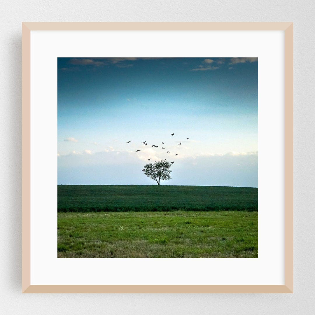 Image showcasing Minimalist Print, Nature Wall Art, Landscape Framed Art, Bird Home Decor, Scenic Poster ...