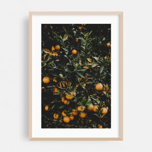Impresión de Visalia, arte mural de California, arte frutal enmarcado, decoración botánica para el hogar, póster de naturaleza, arte de jardín, otoño, tropical, decoración de cocina