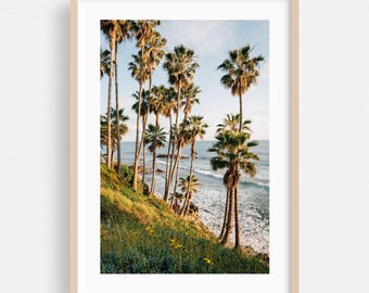 Laguna Beach Beach, Kalifornien Wandkunst, Palmen, Küsten Wohnkultur, Strand Poster, Ozean Fine Art, Tropisch, Meerlandschaft