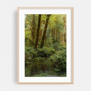 Port Angeles Druck, Washington Wand Kunst, Wald gerahmte Kunst, Natur Wohnkultur, Woodland Poster, Dschungel Fine Art, Wildnis, Landschaftlich