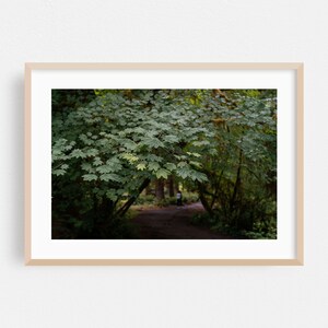 Port Angeles Poster, Washington Wandkunst, Wald gerahmte Kunst, Natur, Wohnkultur, Wald Poster, Landschaftsbild, Wildnis, Botanisch