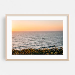 Dana Point Print, California Wall Art, Sunset Framed Art, Ocean Home Decor, Flowers Poster, Coast Fine Art, Beach, Nature, Scenic