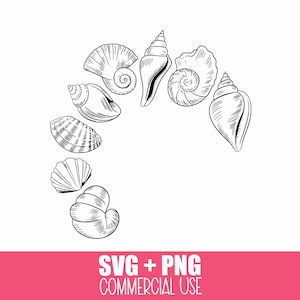 Detailed Seashell SVG Line Art Bundle | Intricate Ocean Shells Clipart for Cricut & Silhouette | Beach Coastal Cut Files