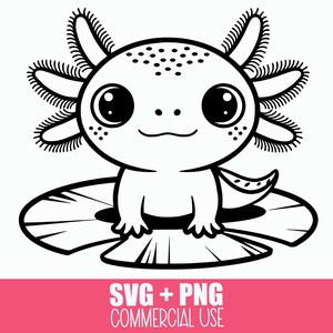 Axolotl SVG + PNG: Axolotl fofo sentado em uma almofada de lírio com sorriso, arquivo de corte Cricut, vetor, design de sublimação para camisa ou caneca