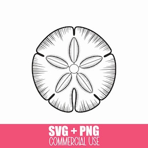 May include: Black and white line art illustration of a sand dollar. The sand dollar is circular with five petal-like shapes radiating from the center. The image includes the text "SVG + PNG COMMERCIAL USE" in white on a pink background.
