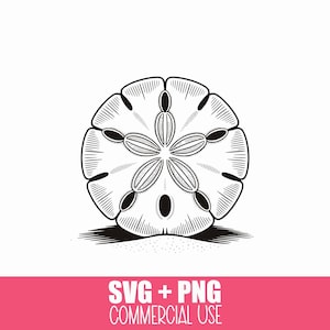 Beach Sand Dollar SVG, Ocean Coastal Cut File for Cricut, Silhouette, and Glowforge