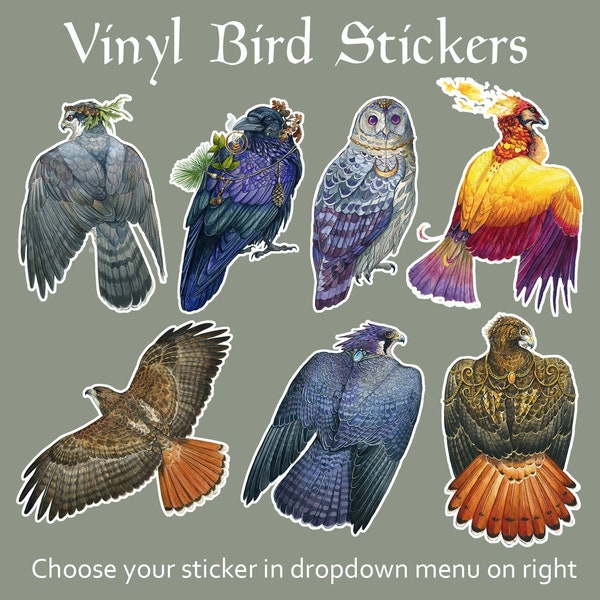 Vinyl Vogel Aufkleber - 7 Designs zur Auswahl - Falke Falke Eule Raven Phoenix Aufkleber