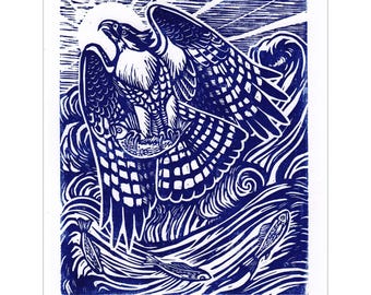 Pandion - Impressão em bloco de águia pescadora - Arte de pássaro esculpida em bloco original 8X10 - Edição limitada de 100 unidades