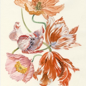Pfirsich Mohn Tulpen Aquarell-Original Gemälde von Mayya Bokova Künstlerin-Botanische Wandkunst
