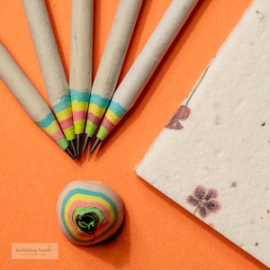 Matite di carta arcobaleno fatte a mano e piantabili, confezione da 5/ Opzioni regalo senza sensi di colpa/ VEGANE/ Regalo per bambini