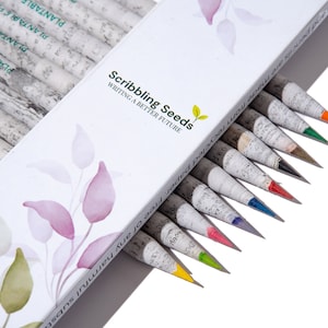 Lápices de colores plantables elaborados con papel de periódico 100% reciclado - Juego de 10 I Papelería sustentable I Viene con 2 variedades de semillas