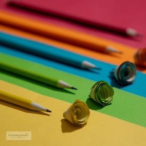 Matite piantabili realizzate con carta riciclata al 100% e colori vegetali (confezione da 5)