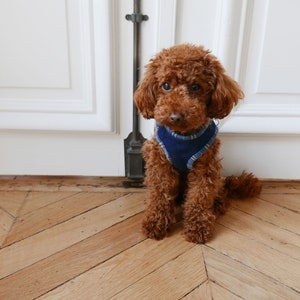 A4 size paper Size 5 Dog Harness Sewing Pattern PDF e pattern Instant Download