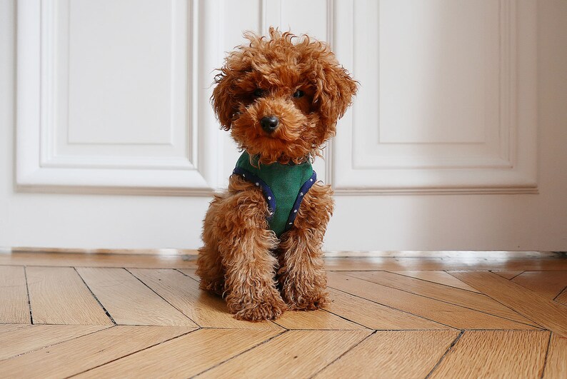 A4 size paper Size 5 Dog Harness Sewing Pattern PDF e pattern Instant Download