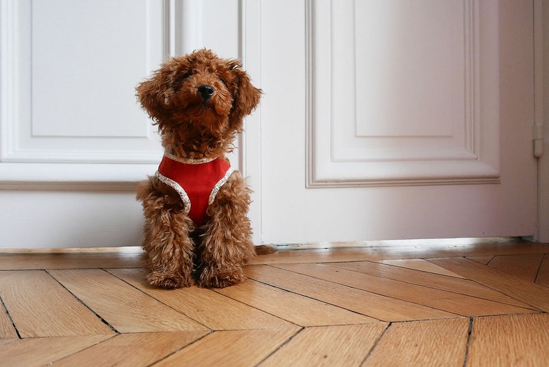 A4 size paper Size 5 Dog Harness Sewing Pattern PDF e pattern Instant Download
