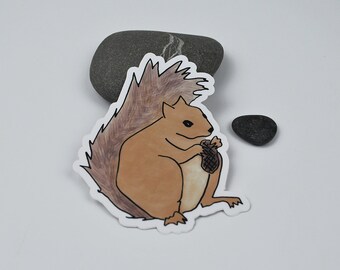 Squirrel Sticker 3 x 4 inch vinyl sticker for indoor/outdoor