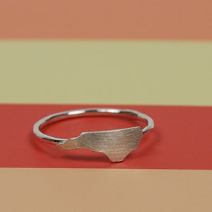 Tiny NC Ring in brushed silver