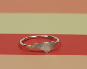 Tiny NC Ring in brushed silver