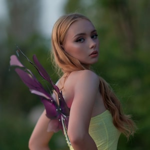 Magic butterfly wings, cosplay fairy wings, accessory for photo shoot, wings for performances, party wings costume, photo props