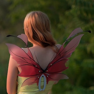 Magic butterfly red wings, fairy wings, party wings costume, carnival costume, wings for performances, cosplay wings, wings for photo shoots
