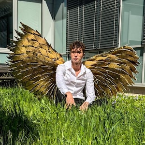 Cupid golden angel wings, gold wings, accessory for cosplay photoshoot, butterfly wings, angel wings, cosplay costume, wings for perfomances