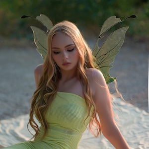 Green fairy wings, forest fairy wings, wings for party and carnival, wings for performances, cosplay wings, butterfly wings, photo props