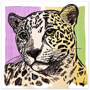 Jaguar / Fine Art Poster 25 x 25 cm / 10x10″