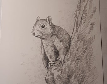 Realistic Original Squirrel Pencil Drawing