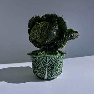 Könnte beinhalten: Eine dekorative Keramikskulptur in Form eines Kohls. Die Skulptur zeigt einen dunkelgrünen Kohlkopf, der aus einem passenden grünen, kohlförmigen Topf herausragt. Topf und Kohlkopf weisen detaillierte Blattstrukturen auf.