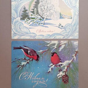 Vintage Winter-Postkarten, Neujahrspostkarten, UdSSR-Postkarten, Schnee, Vogelpostkarten, Zapfen, nette Vögel, Neujahrspostkarten, Weihnachtspostkarten