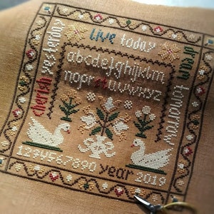 Swans Sampler - Counted Primitive Cross stitch pattern PDF by Stitches Through The Years
