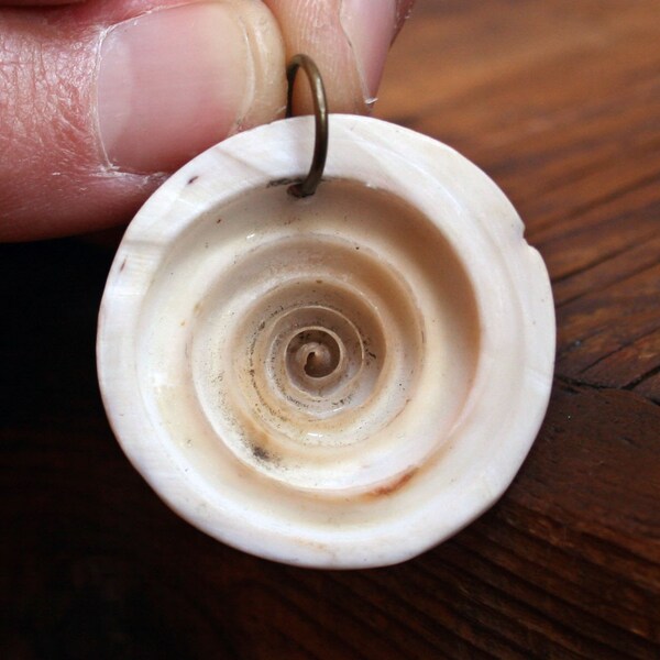 Muschel Anhänger Strand Ufer sieben Schmuck