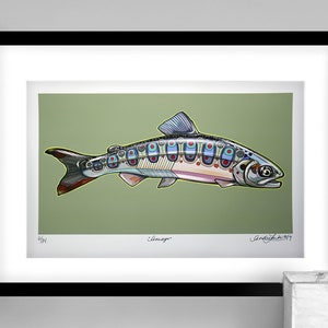 Archival Amago Trout Limited Edition Giclee Print 11x17