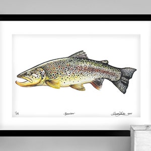 Archival Brownbow Trout  Limited Edition Giclee Print 11x17