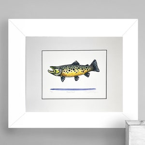 Limited Edition Watercolor Brown Trout Gicleé Print 8.5x11 Conservation Matted to 11x14