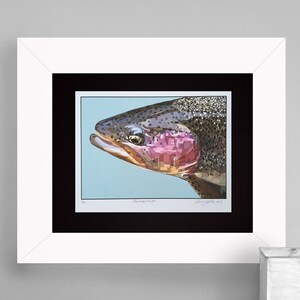 Limited Edition Rainbow Trout Fish Art Gicleé Print 8.5&quot;x11&quot; Archival Matted to 11&quot;x14&quot;