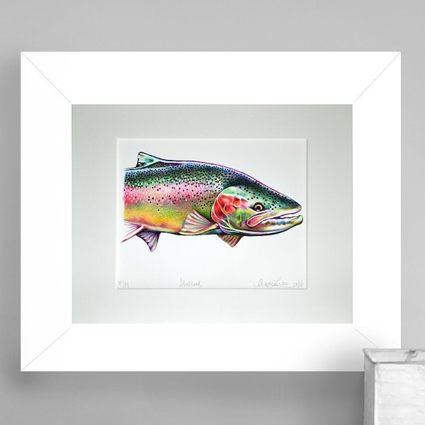 Limited Edition Steelhead gekleurde potlood kunst Gicleé print 8.5 "X11" instandhouding gematteerd tot 11 "x14"