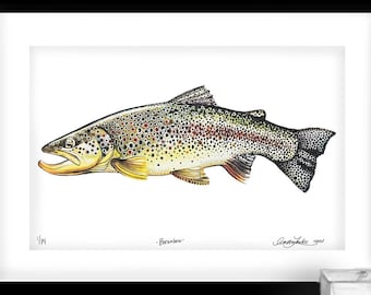 Archival Brownbow Trout  Limited Edition Giclee Print 11x17