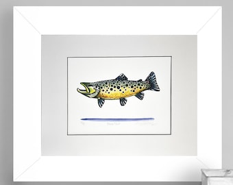 Limited Edition Watercolor Brown Trout Gicleé Print 8.5x11 Conservation Matted to 11x14