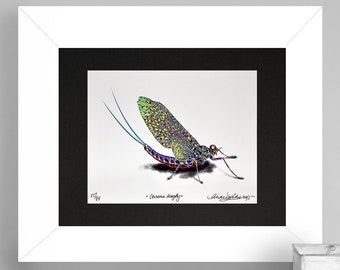 Limited Edition Chroma Mayfly GicleéPrint 8.5x11 matted to 11x14