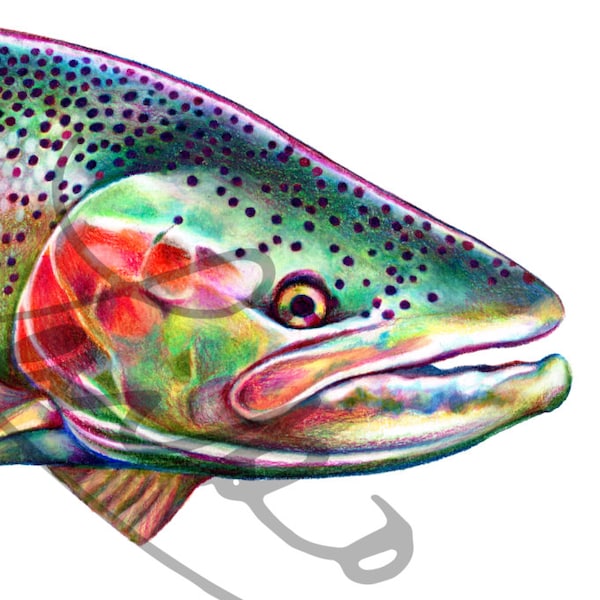 Gekleurd potlood Steelhead vis Art Print 8.5 "x 11"